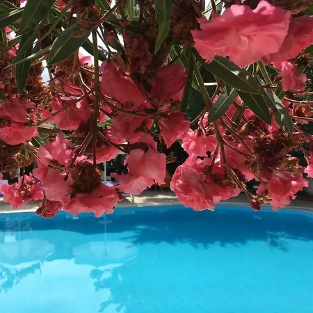 Bitez Otel Bitez